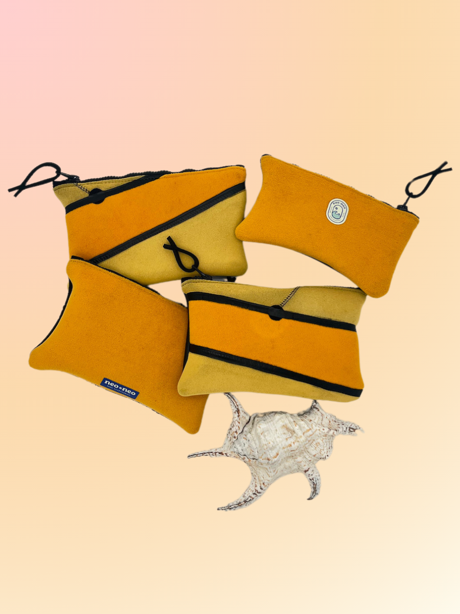 Collections 4C.png