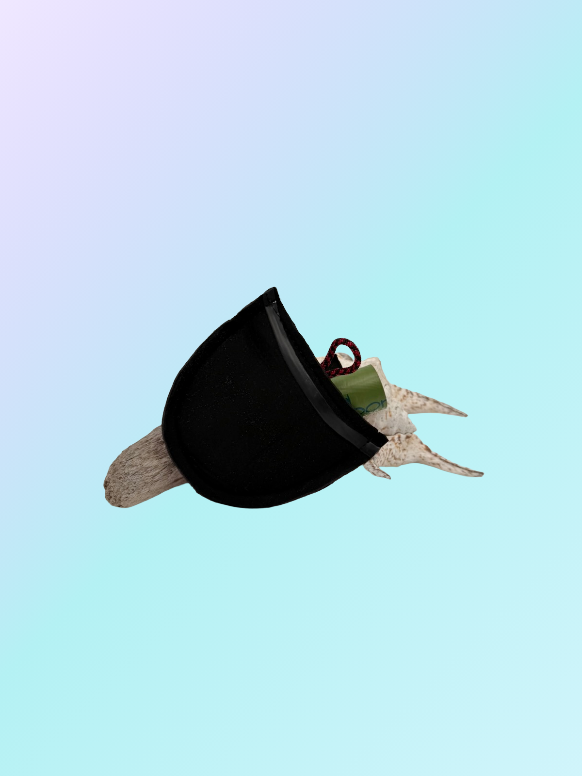 NNPC H-19-Mini Wag Rasberry B.png