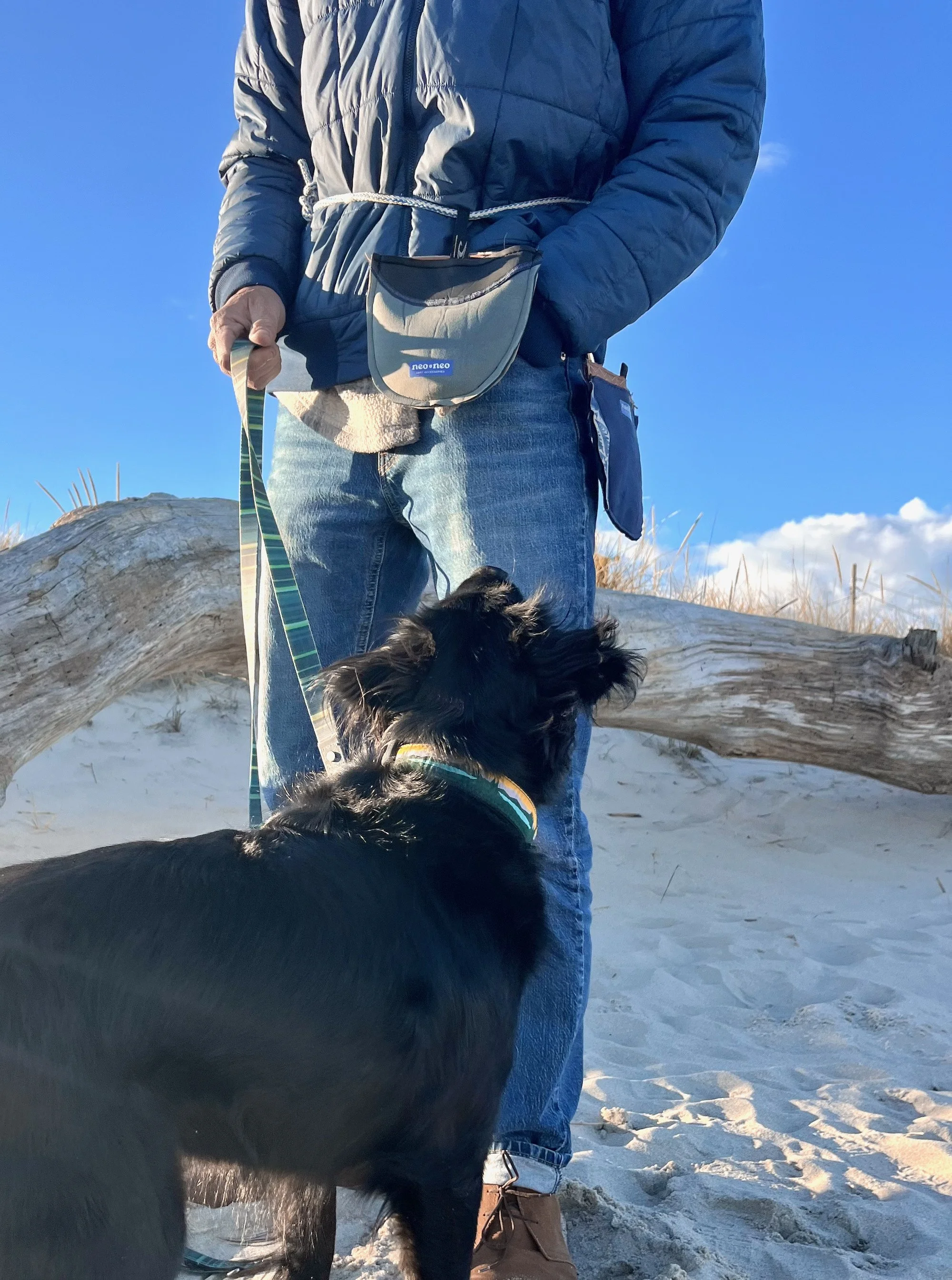 A person standing on a sandy beach holding a black dog on a leash, with driftwood and blue sky in the background.