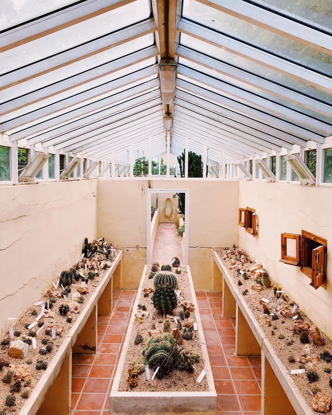Jardín Botánico de la Universidad de Valencia (La Caseta del Romero)
