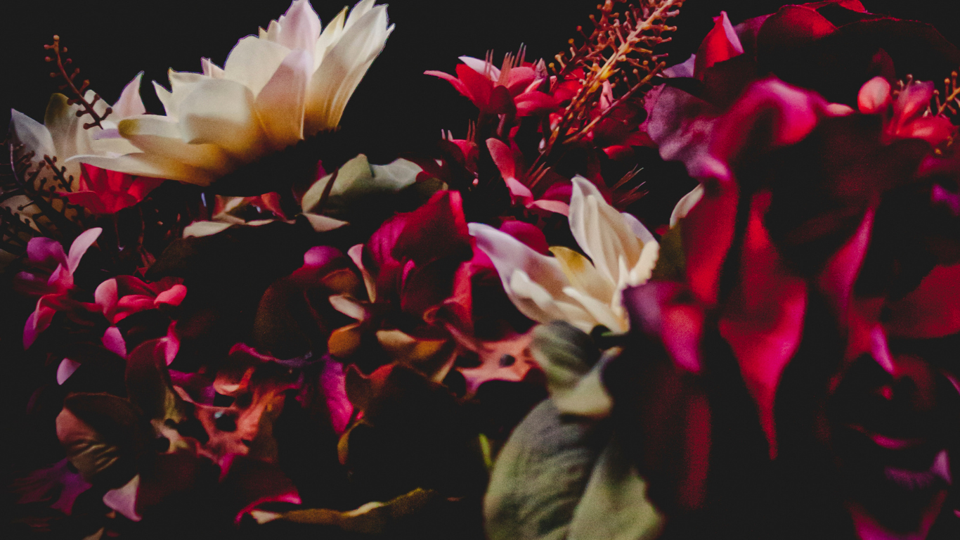 Close-up of a bouquet of mixed flowers with dark background, featuring white, pink, and deep red petals.