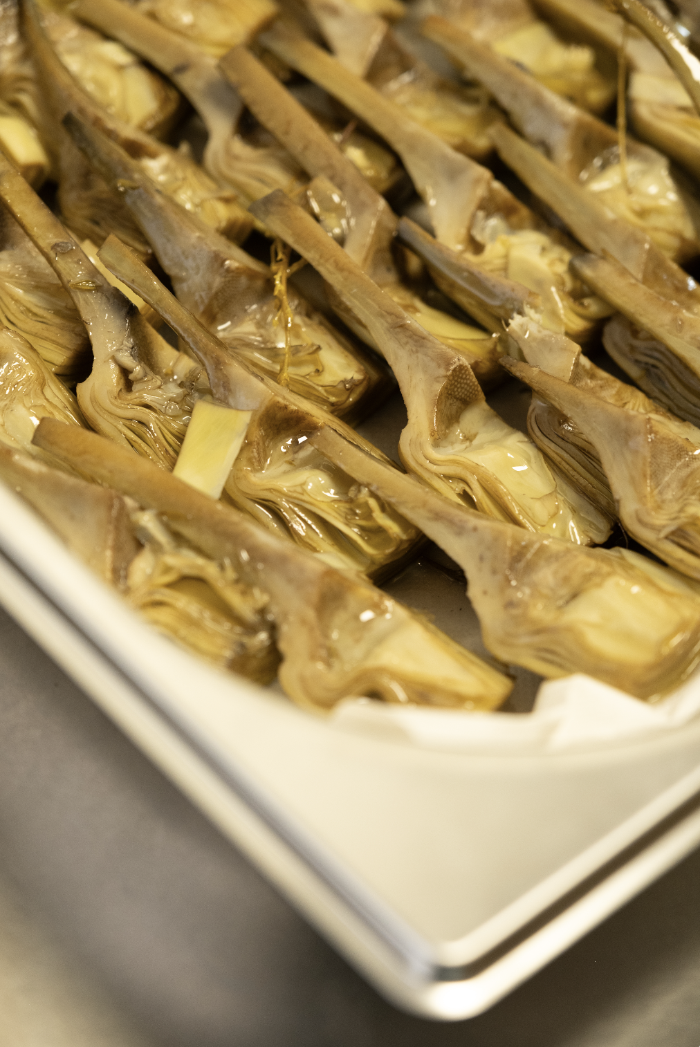 Captura de pantalla 2026-01-31 a la(s) 19.21.43.png