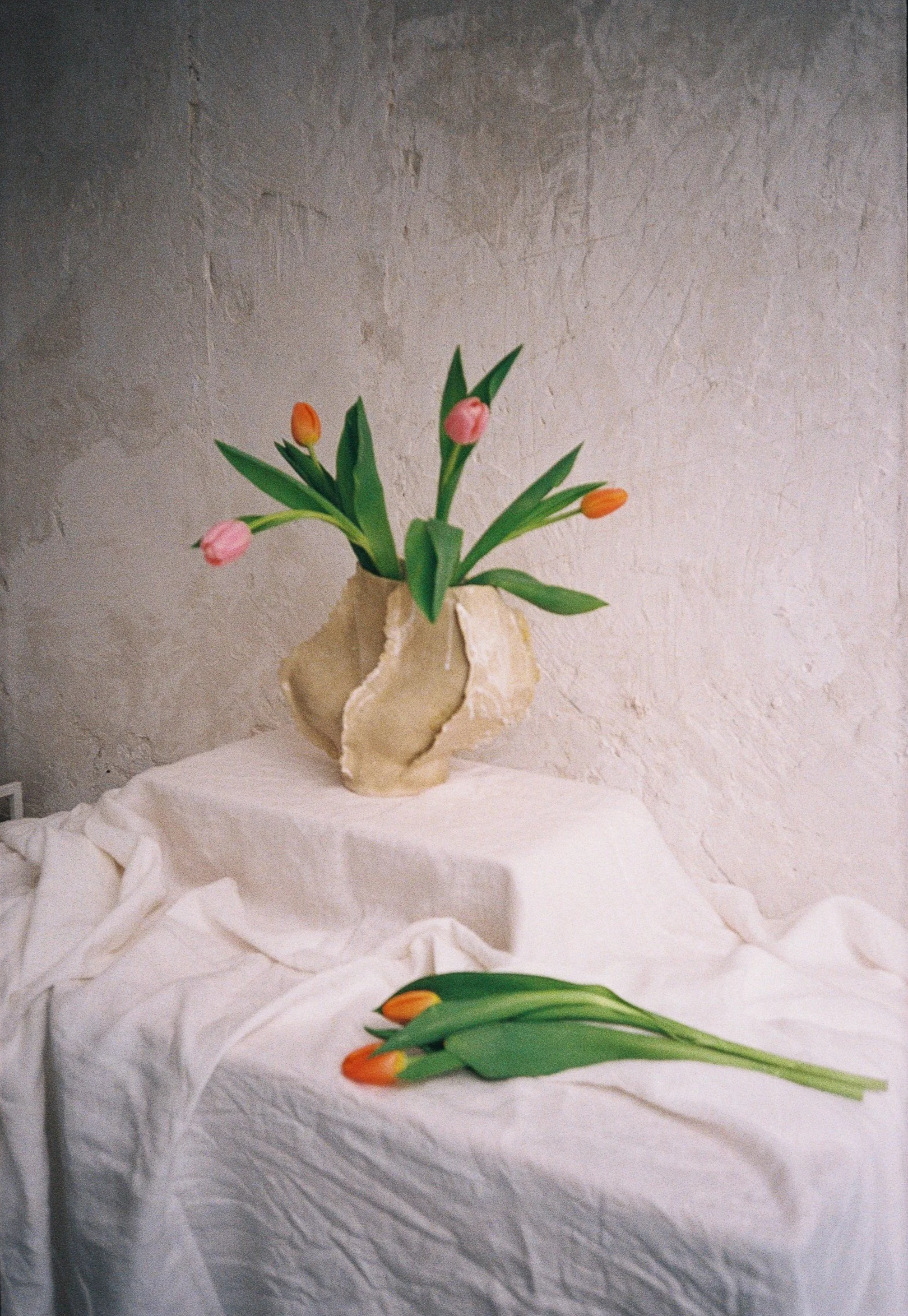 TOTEM-FILM-3.png