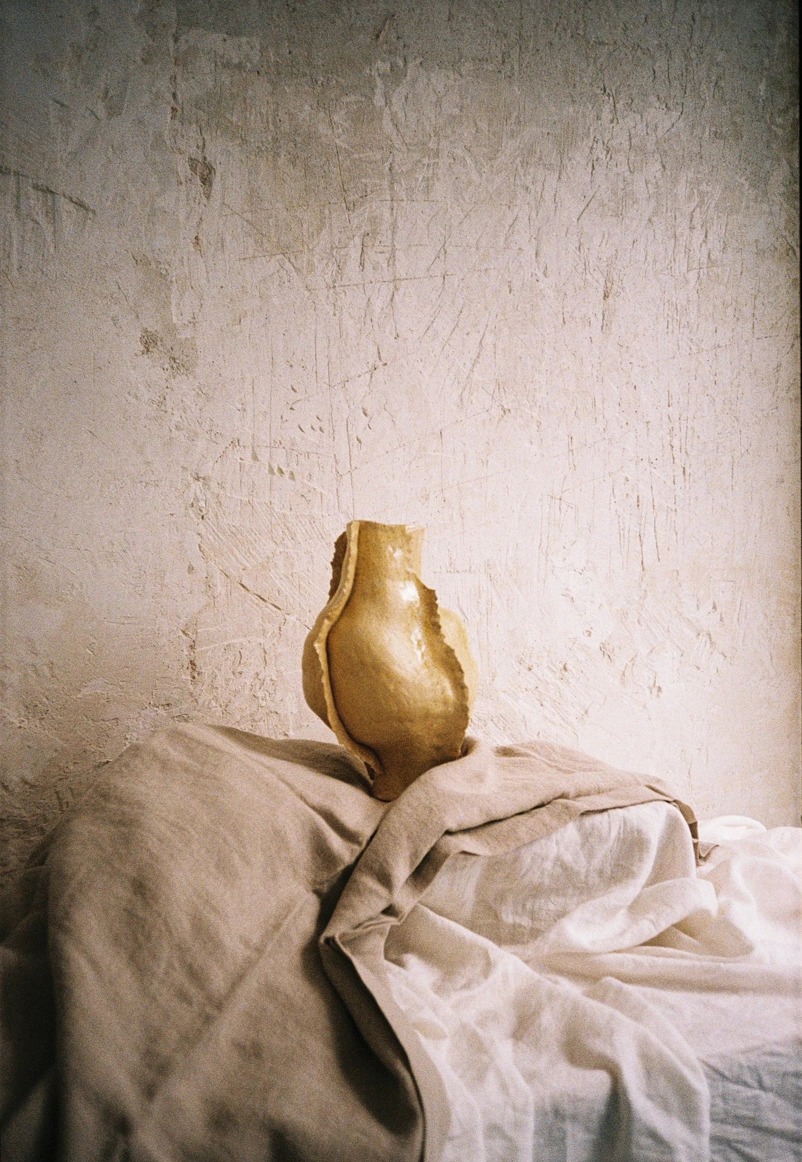 TOTEM-FILM-5.png