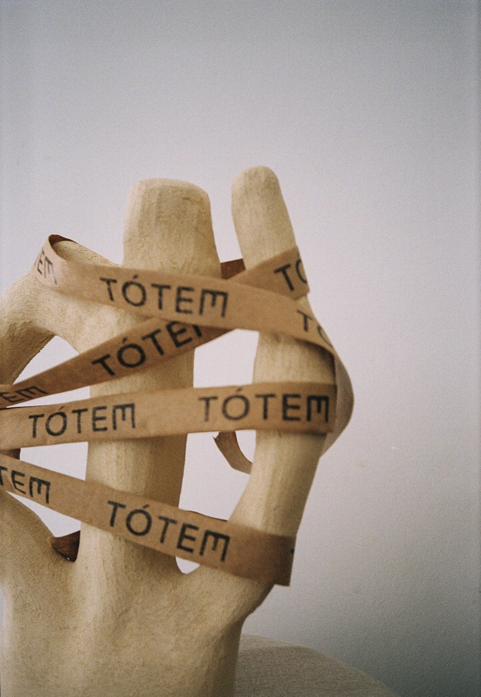 TOTEM-FILM-10.png