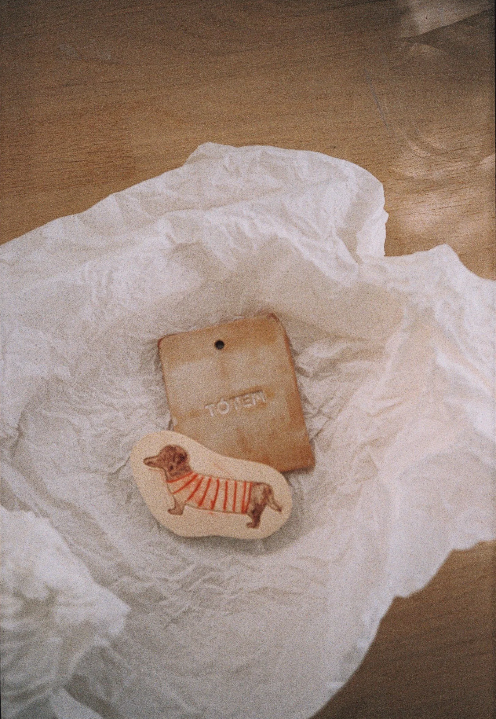 TOTEM-FILM-12.png