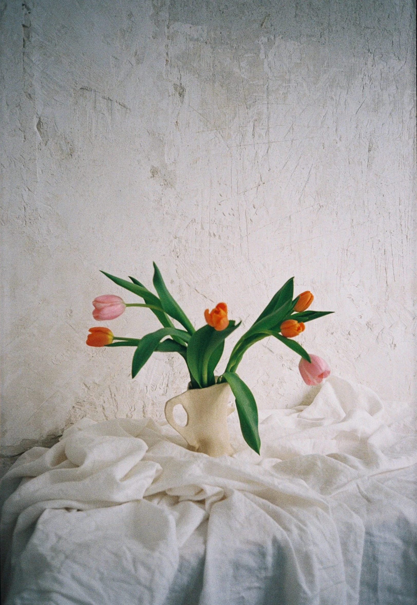 TOTEM-FILM-7.png