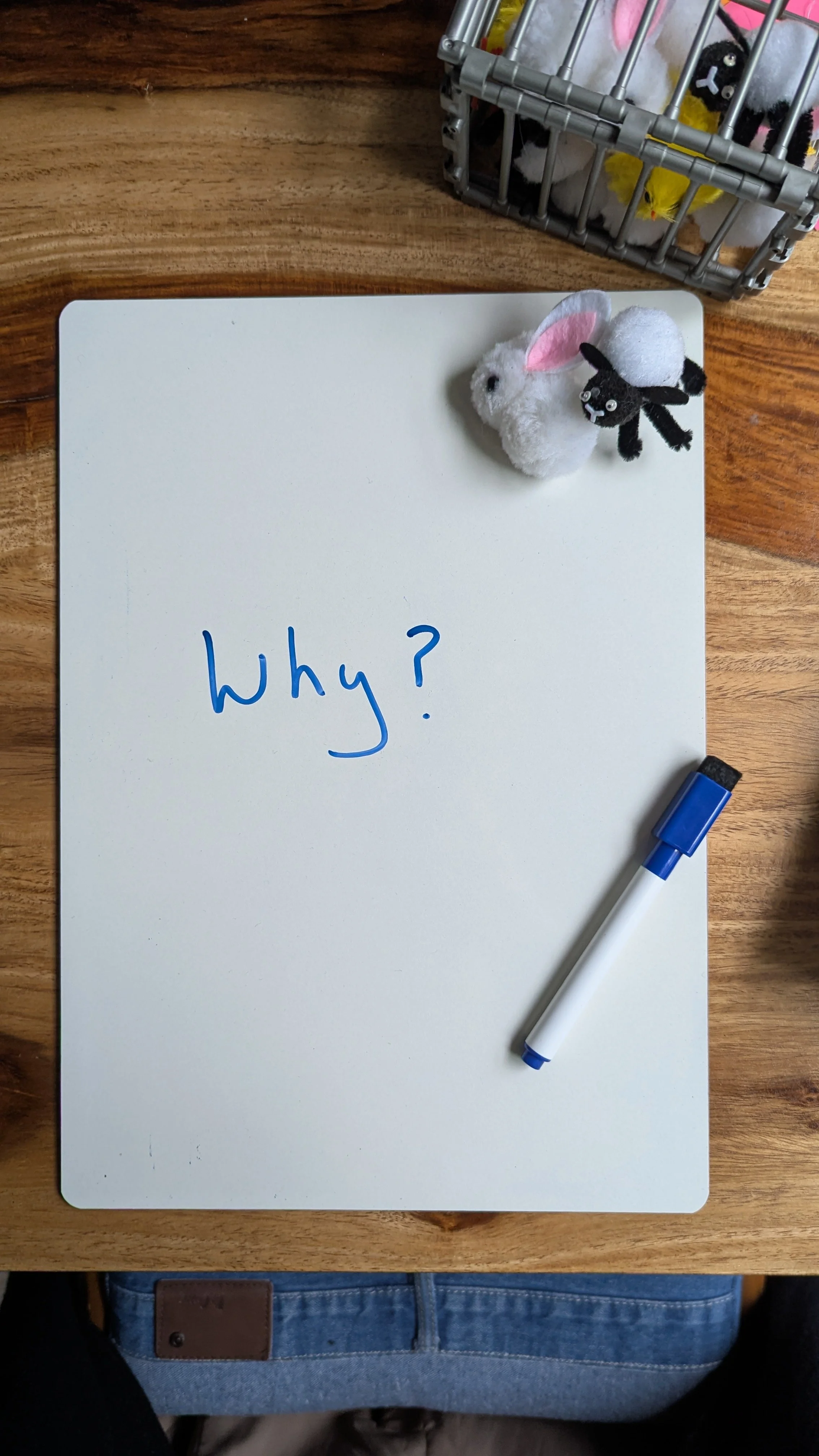 Parliamentary Written Question - Why?