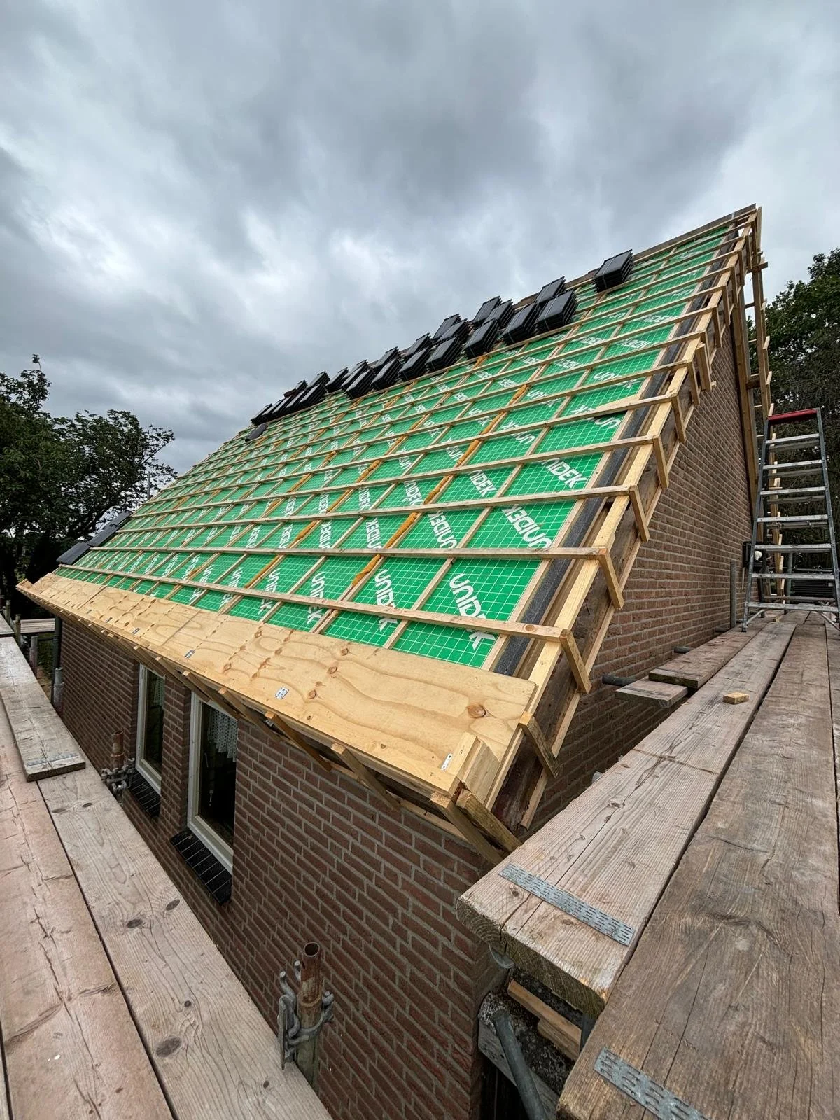 WhatsApp Image 2025-02-24 at 19.14.01 (2).jpeg