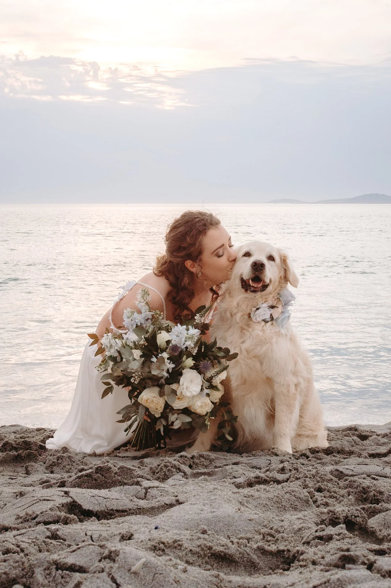 A Love Letter to all my Dogs