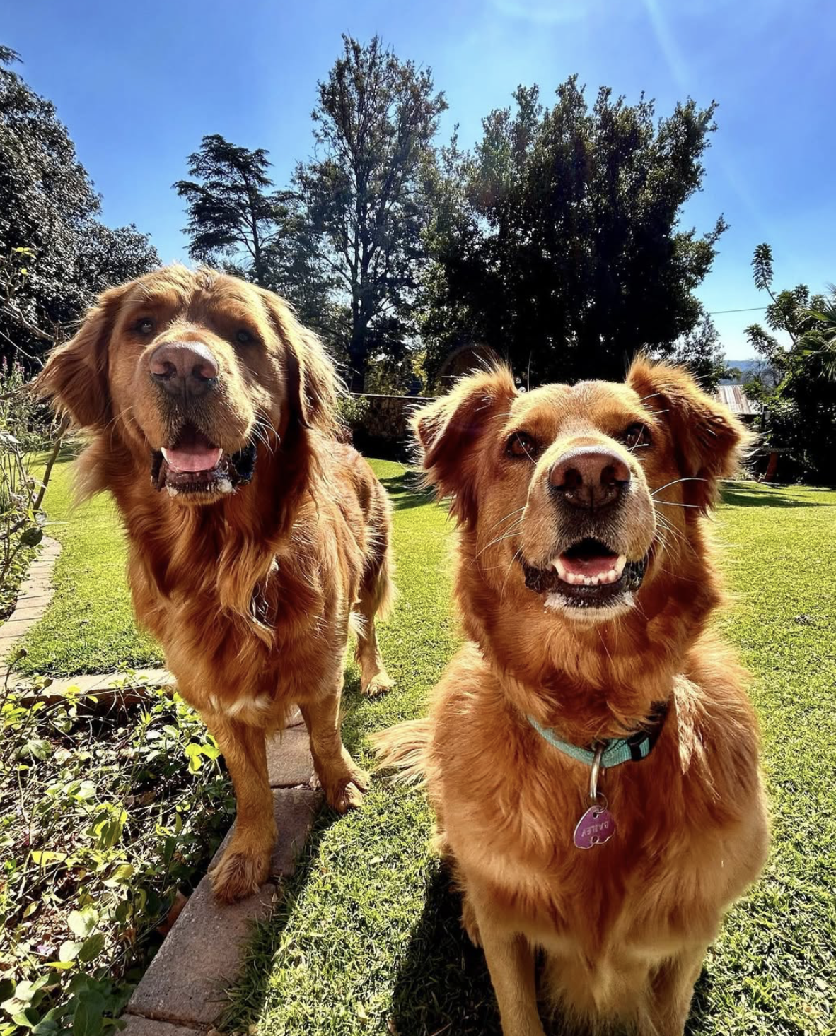 Georgie &amp; Bailey