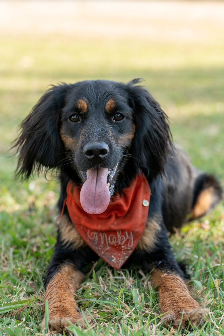 Screen Shot 2019-10-07 at 16.03.29.PNG