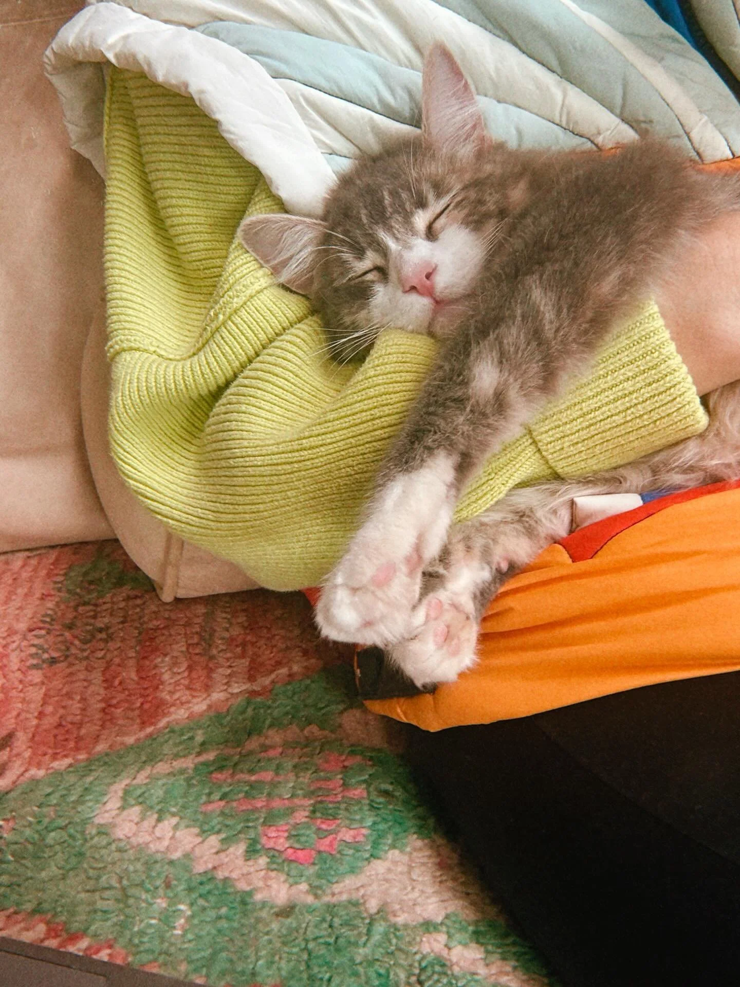 Did you know if you sit on the couch with a laptop to work, someone might request that spot on your lap, and you&rsquo;ll be unable to perform any work?
True story, the manager said so.