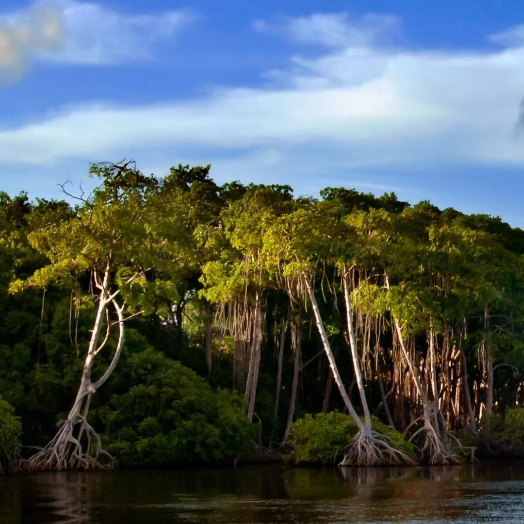 Does My Teenager Need Therapy - Or Just More Sleep and Less TikTok?