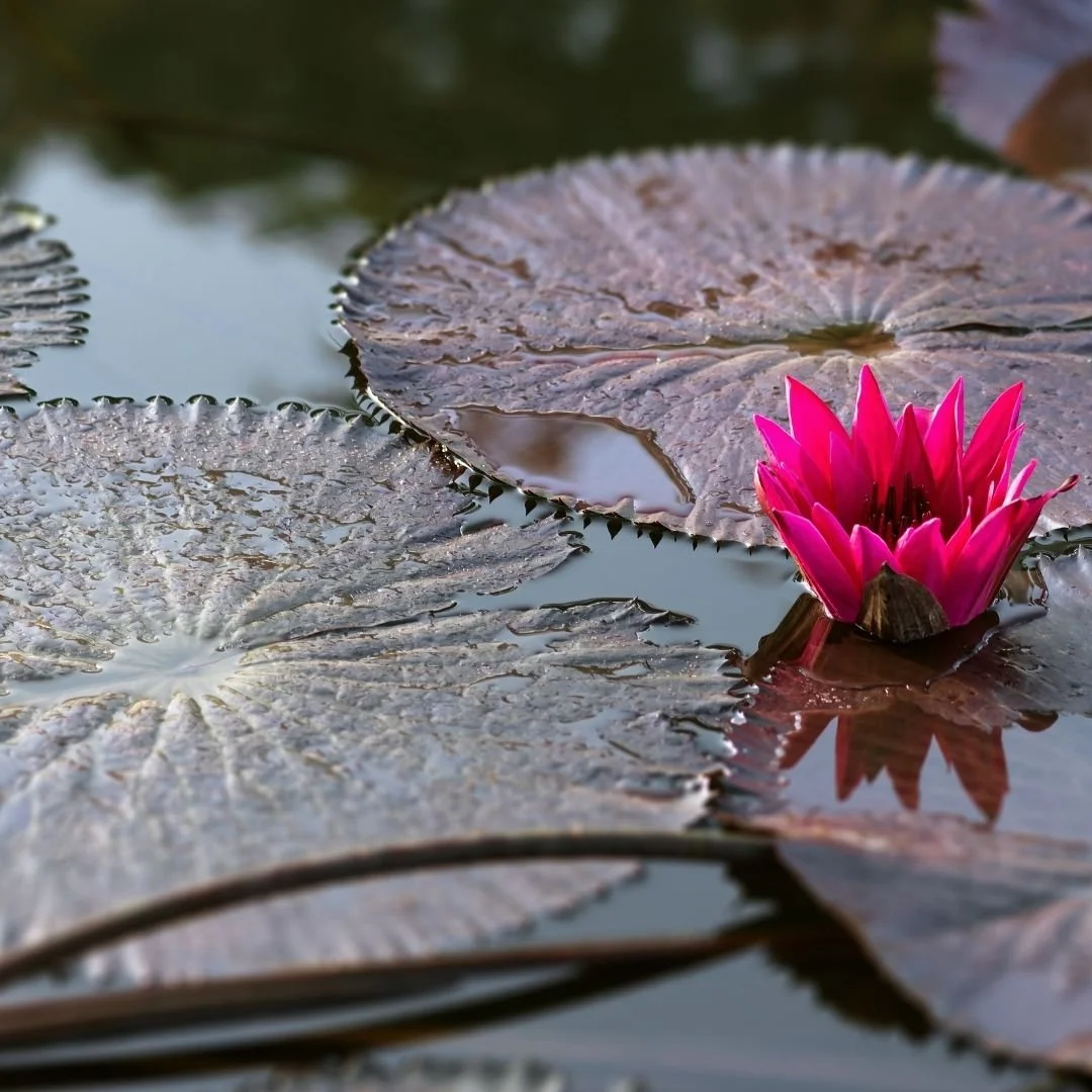 How to Love Someone Who Loads the Dishwasher Wrong.