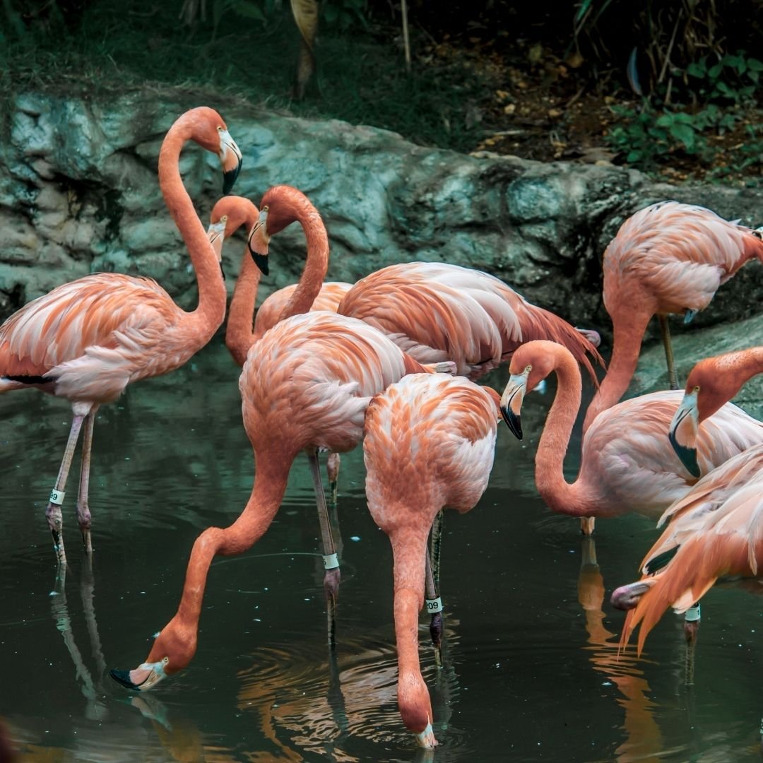 Christmas Eve: Not Everyone Is Excited About the Holidays. That’s Normal.