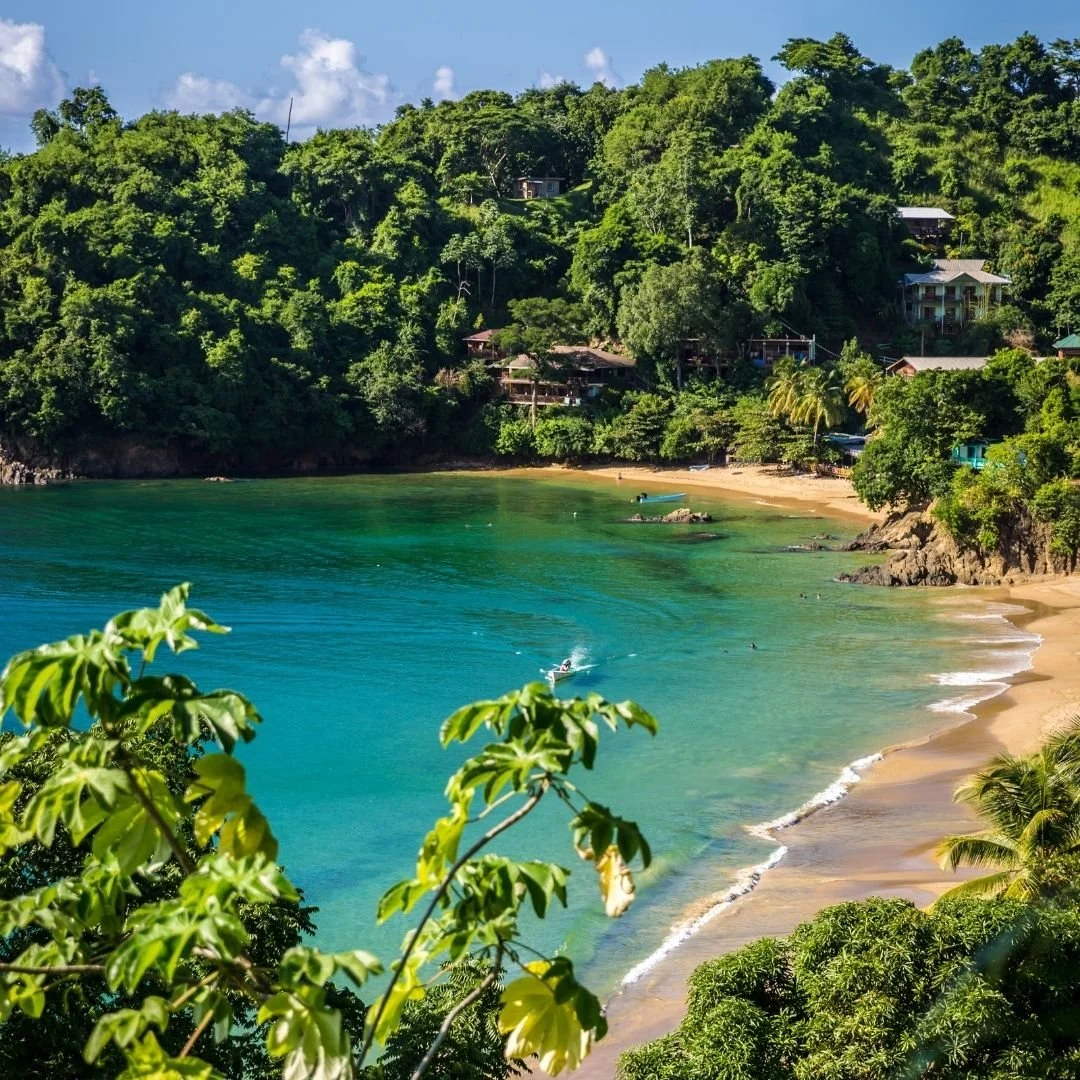 New Year’s Eve: You Don’t Need a New Version of Yourself by Midnight.