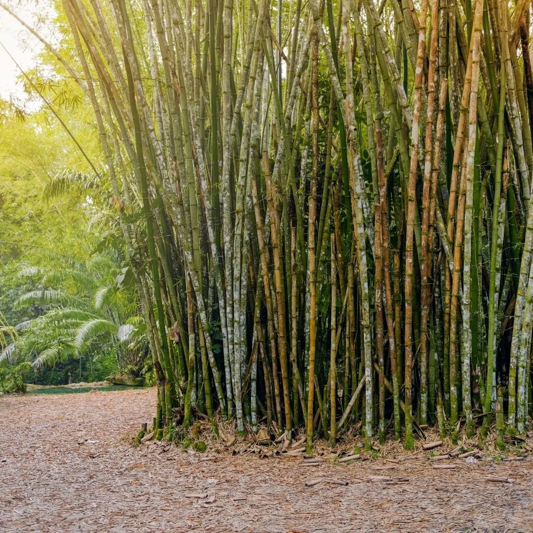 It’s January 7th. You’re Tired. The World Is Still Messy. Welcome Back.