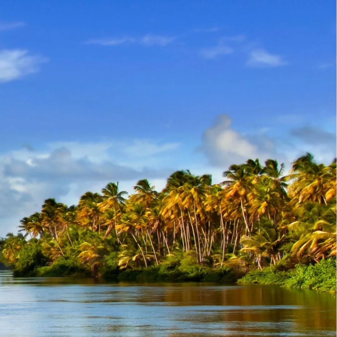 Comfort Is a Terrible Teacher.