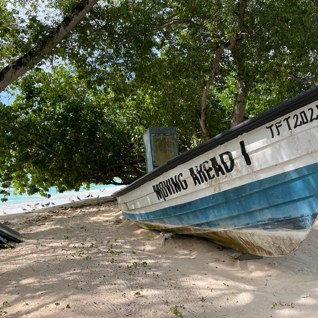 Cravings Peak. You Don’t Have To.