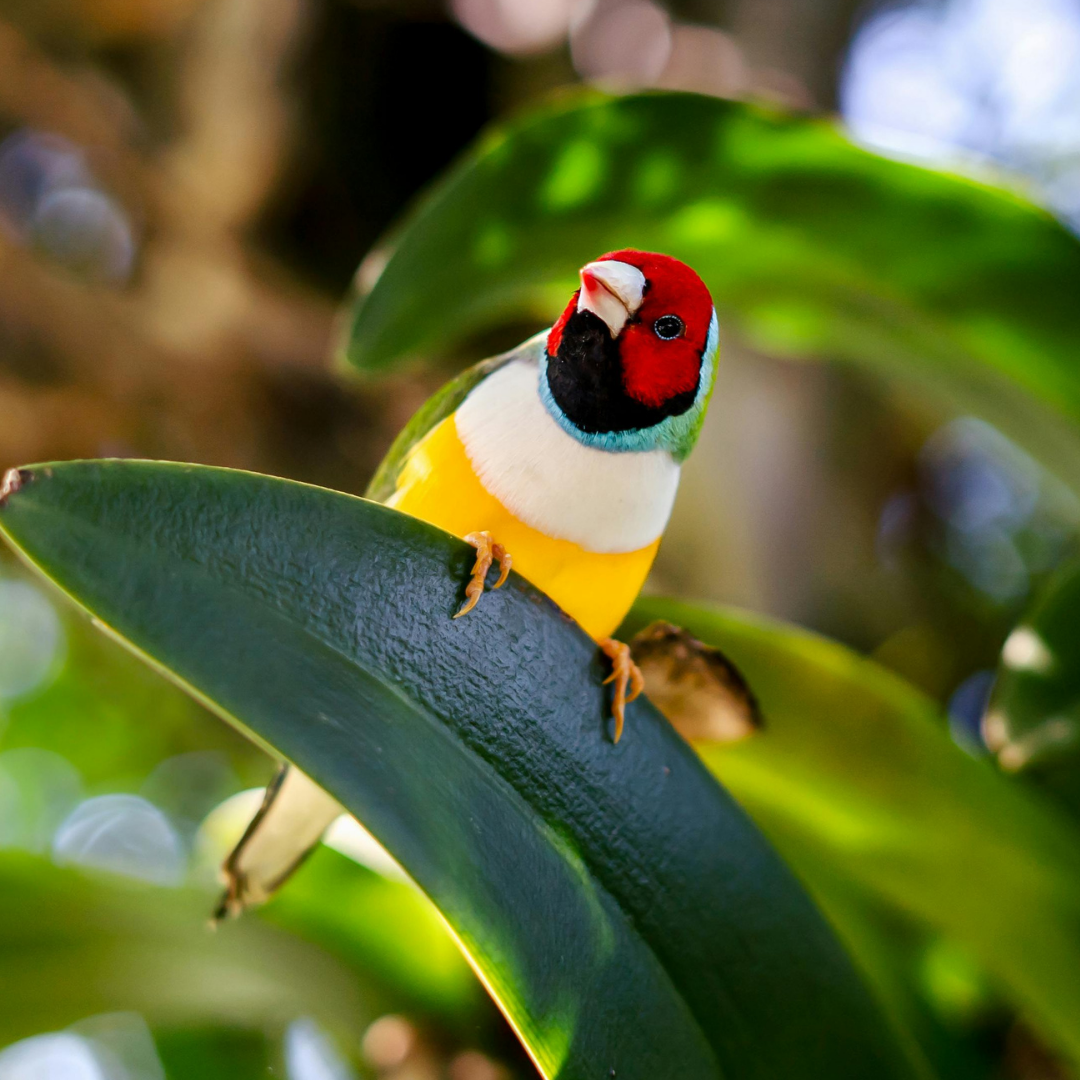 Feedback Feels Personal Because It Is.