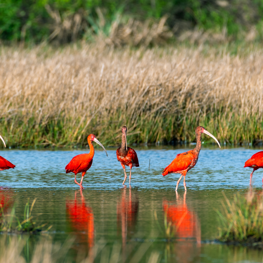 Adult Friendship Requires Effort.