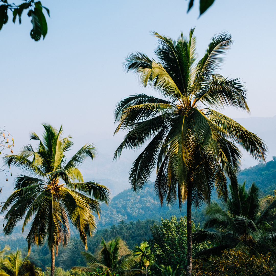 Soft Parenting Still Needs Edges.