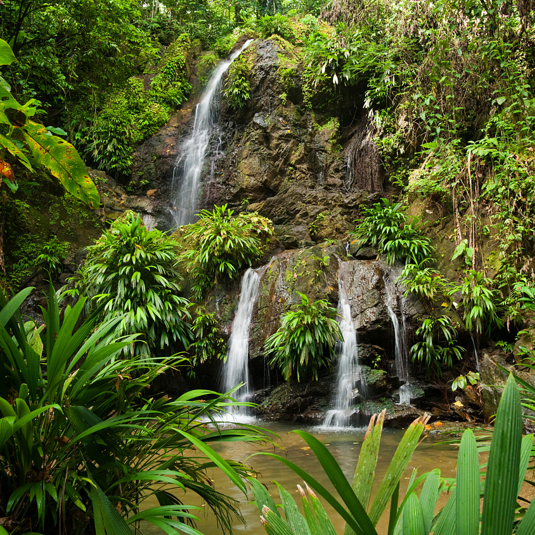 Not Everything You Feel Is True.