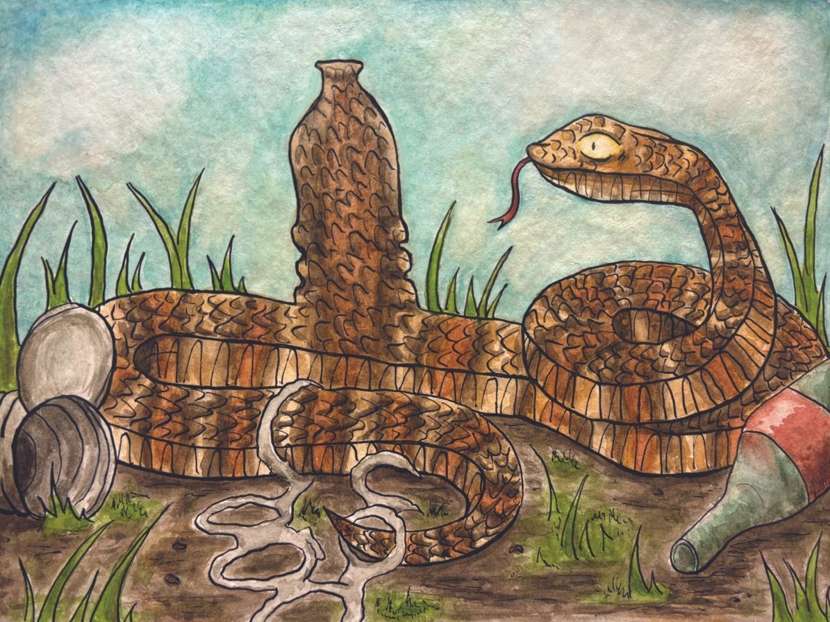 LeaveNoTrace.jpg