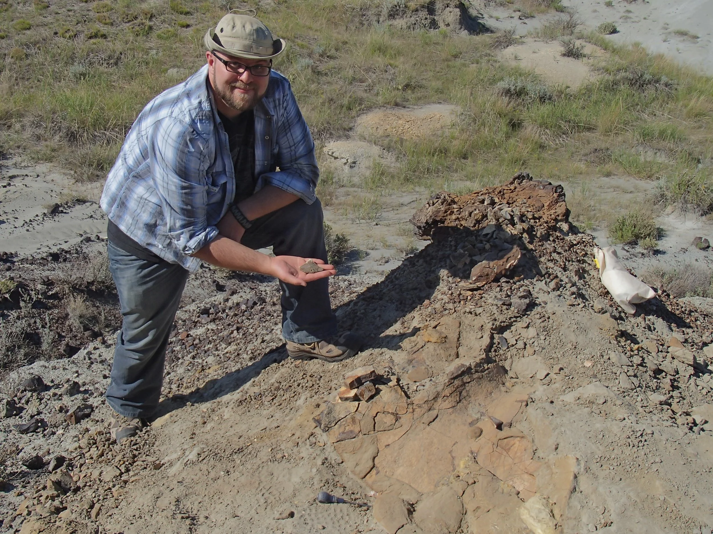Torosaurus Epoccipital Bones and Frill
