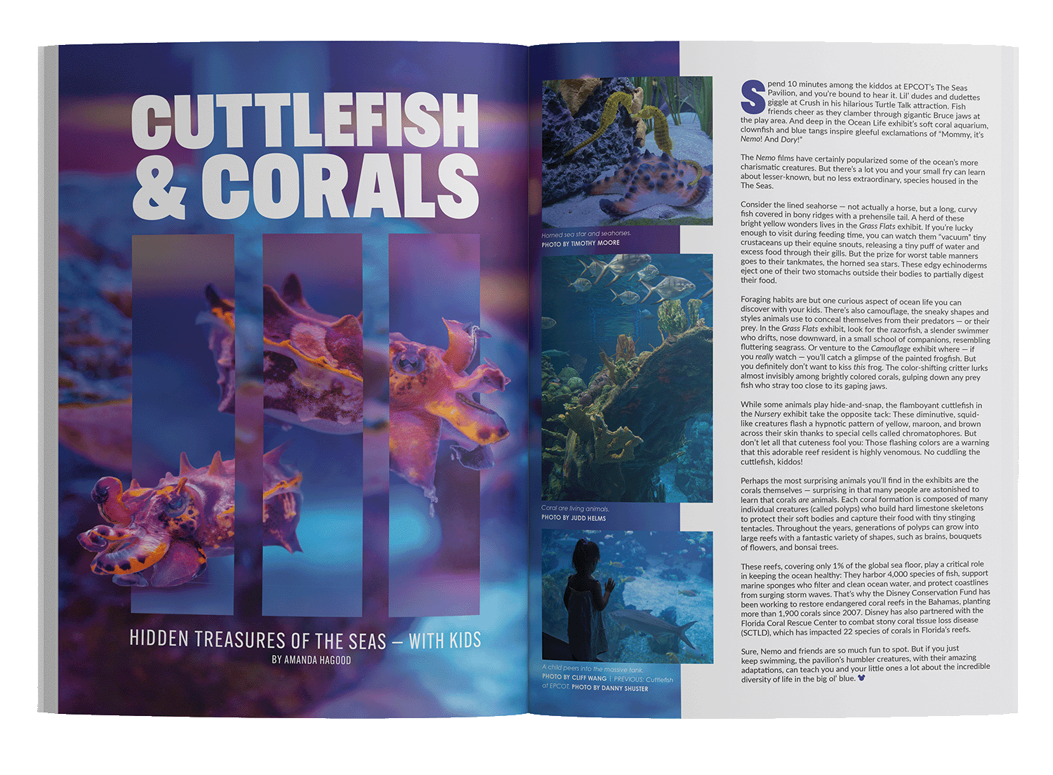 Cuttlefish-and-Corals_Mockup.png