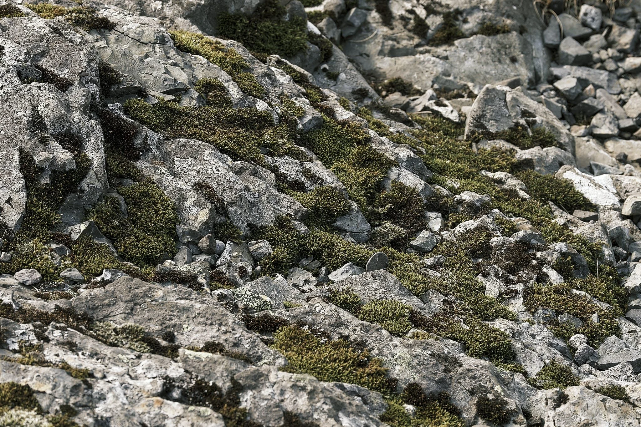 Iceland - Sep 11 2023-1572 .jpg