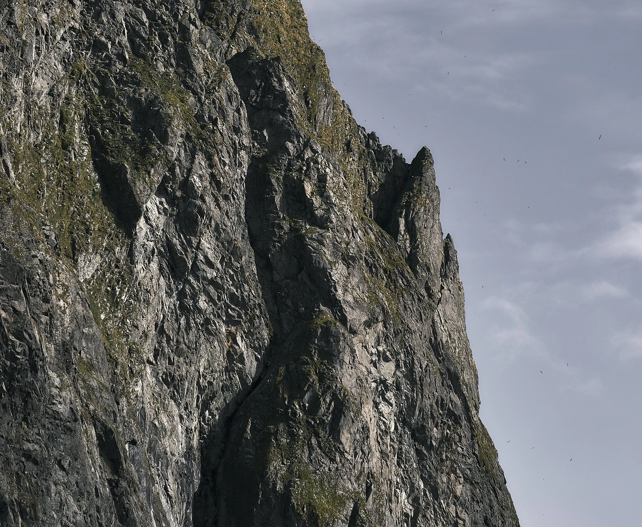 Iceland - Sep 11 2023-1570 LONE PINE 12:2022.jpg