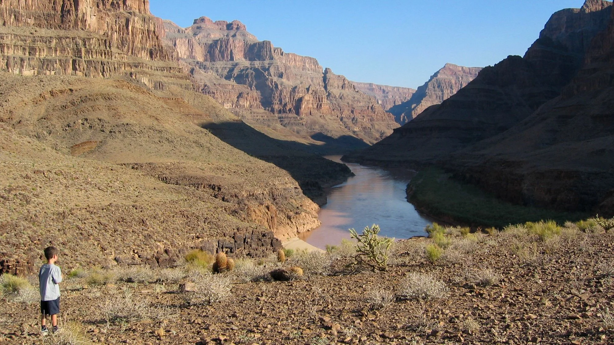 A young boy looking deep in the Grand Canyon