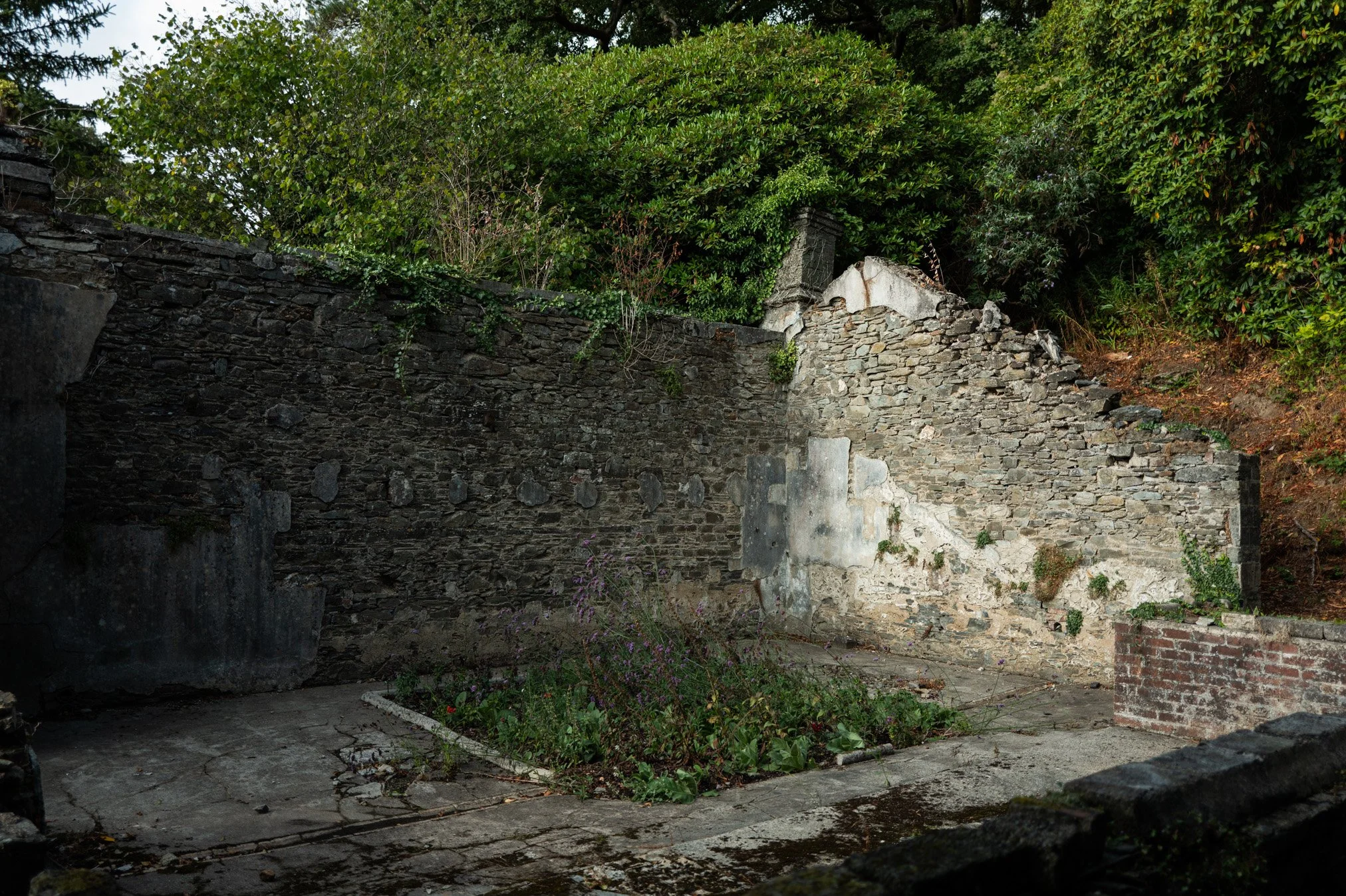 L1000358.jpg