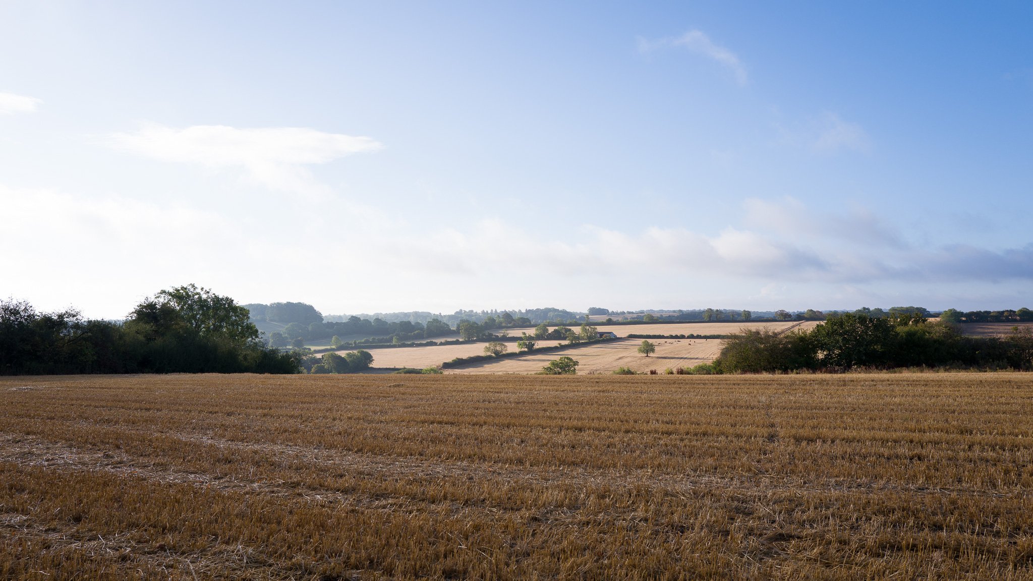 L1000175.jpg