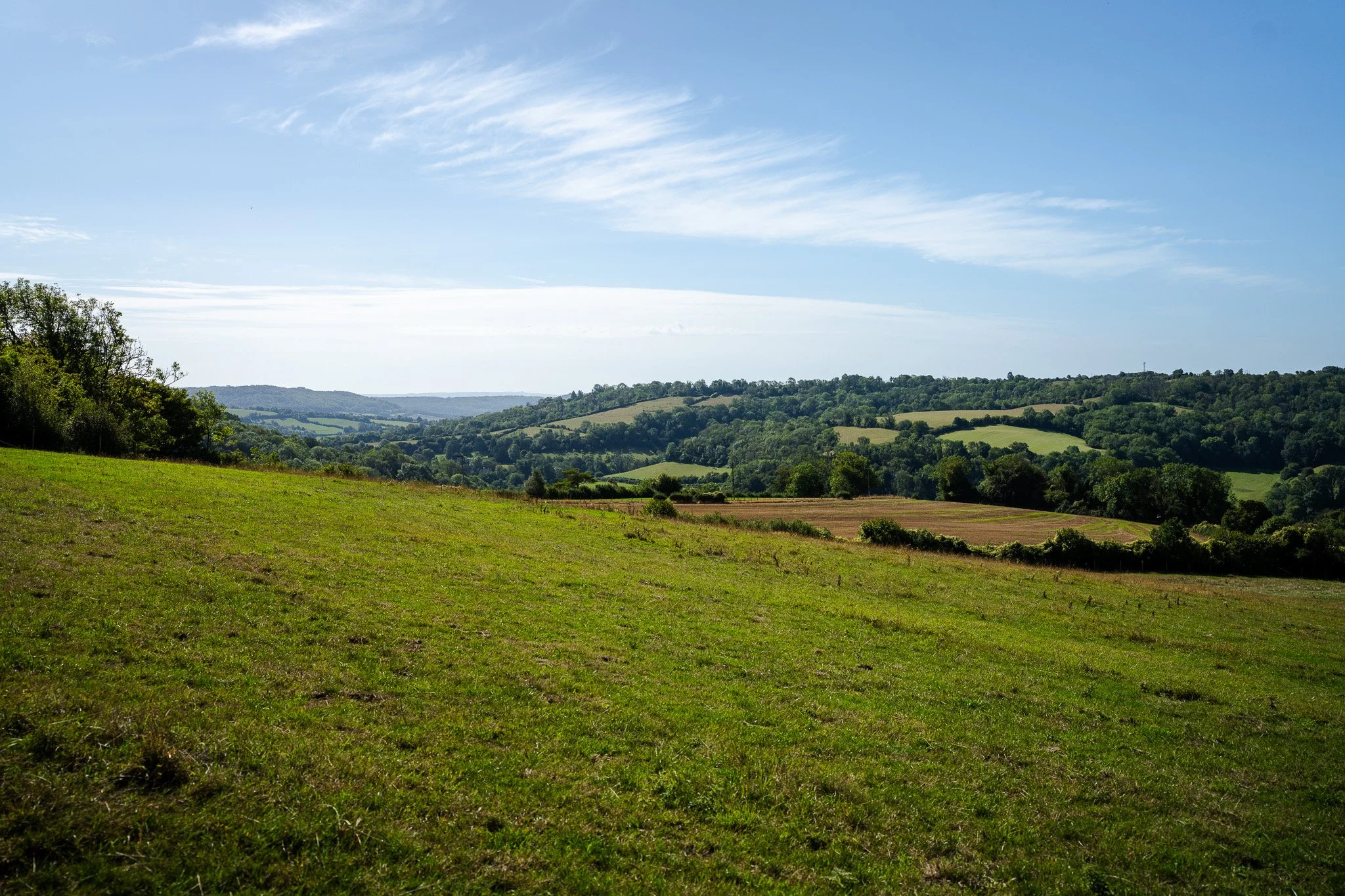 A7C05416.jpg