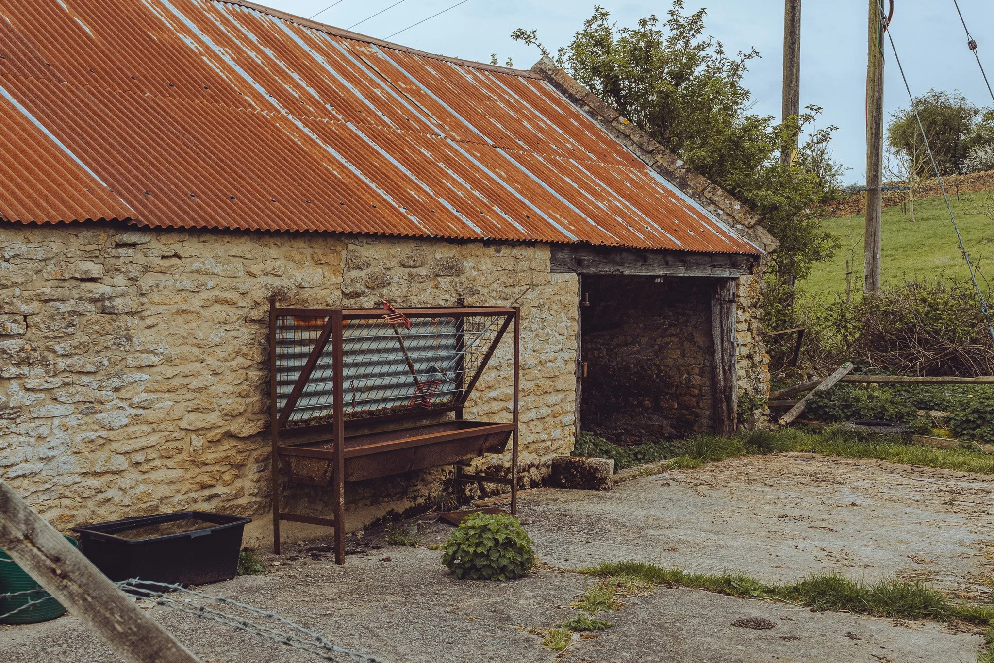 L1000310.jpg