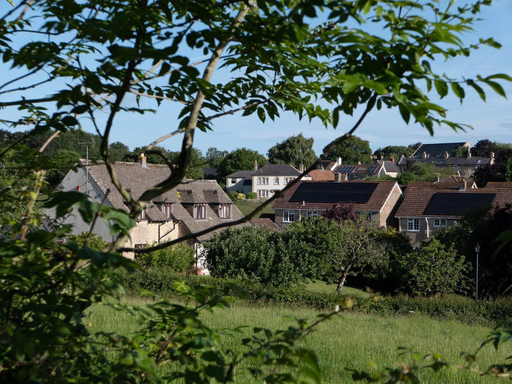 DO01000652.jpg