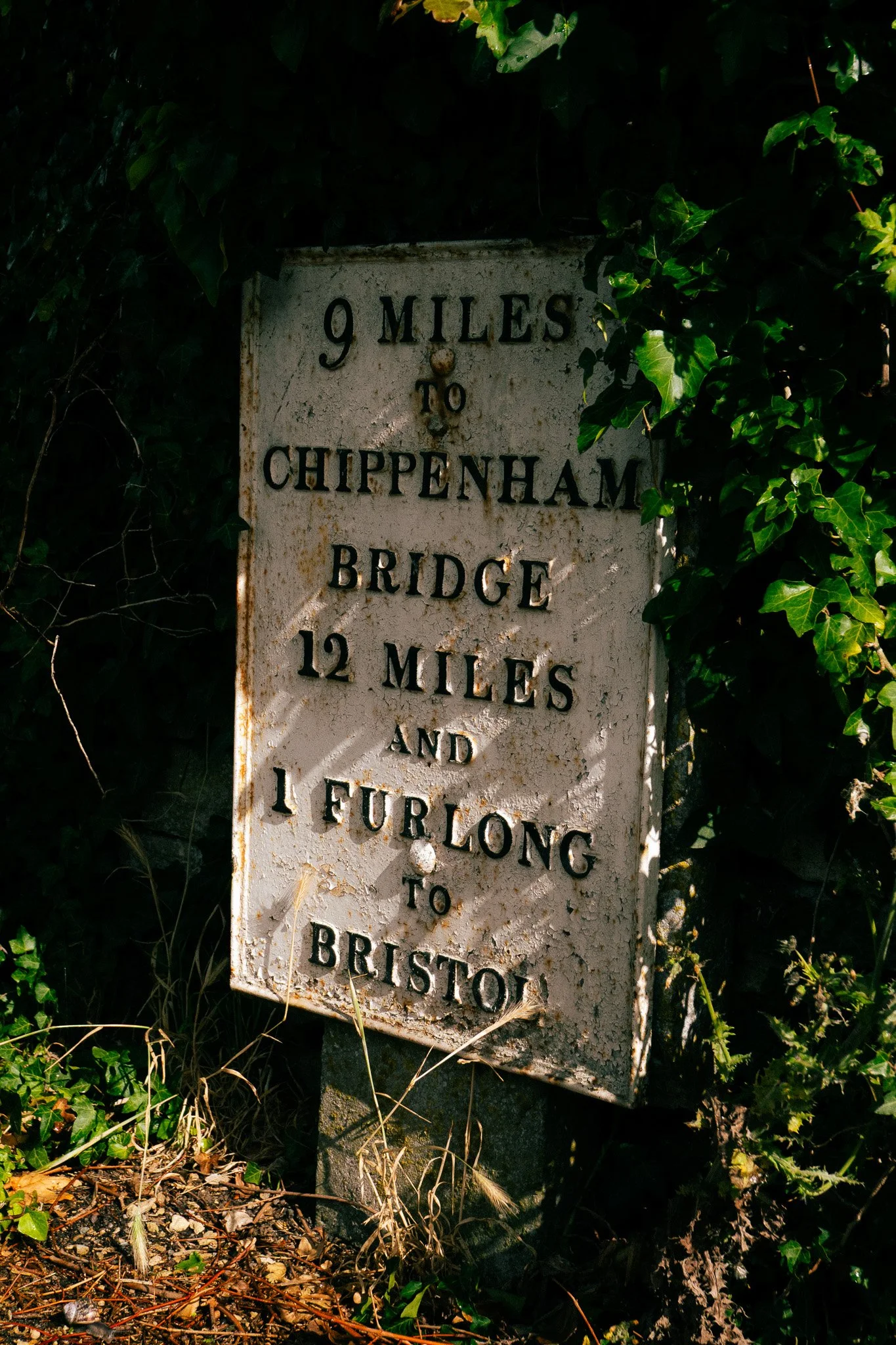 DO01000670.jpg