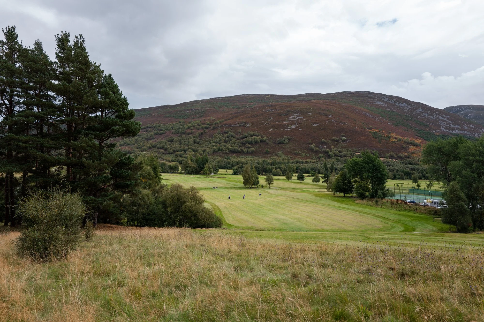 L1000645.jpg