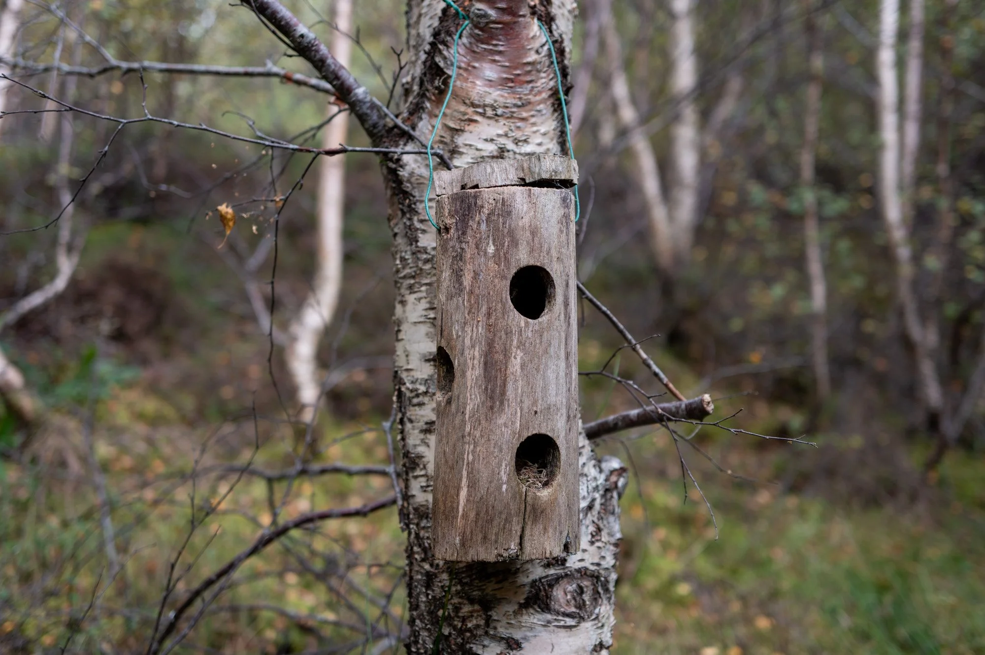 L1000640.jpg
