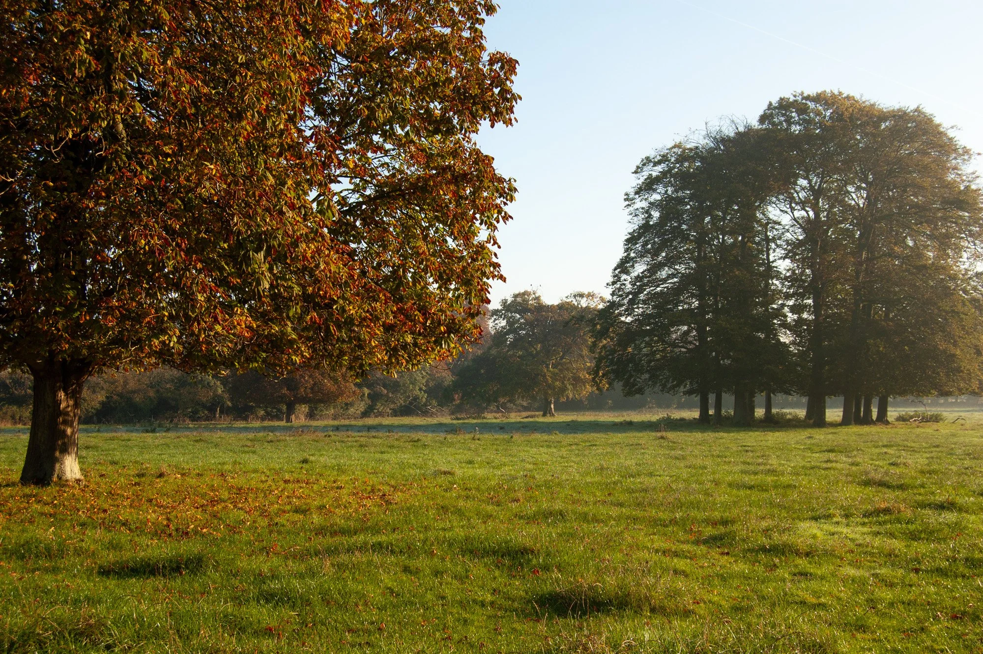 An English field in Autumn