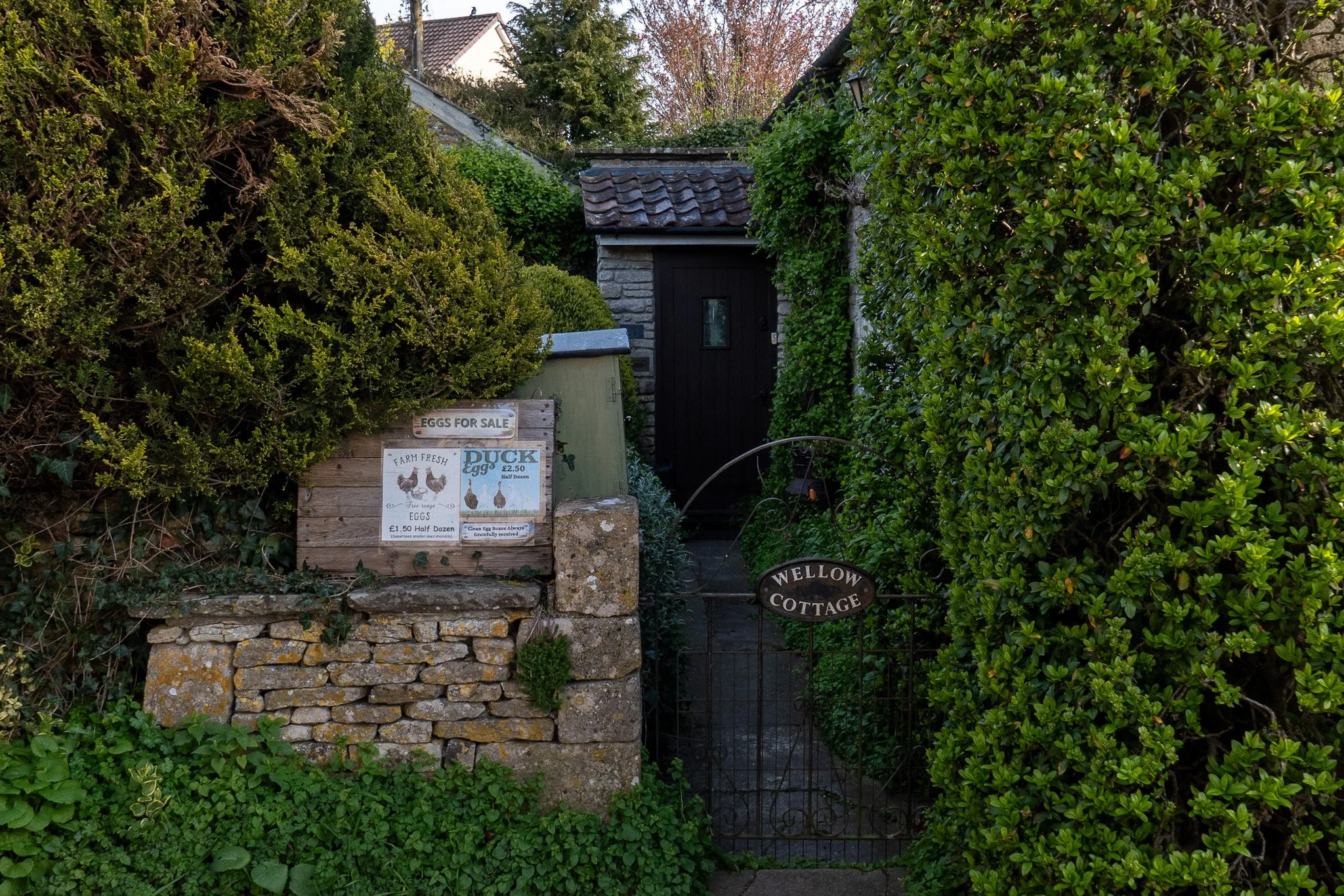 L1000276.jpg