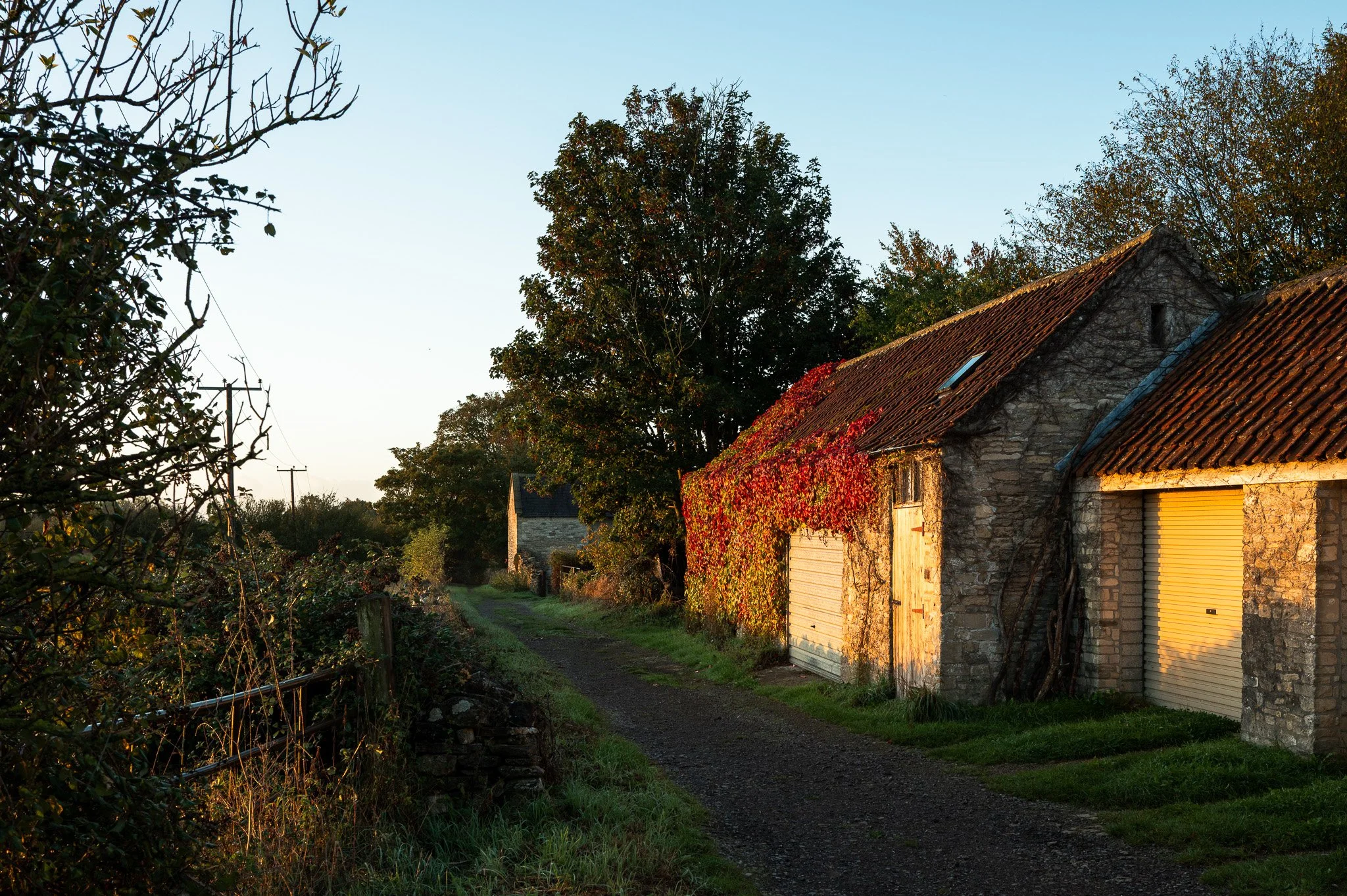 L1000884.jpg