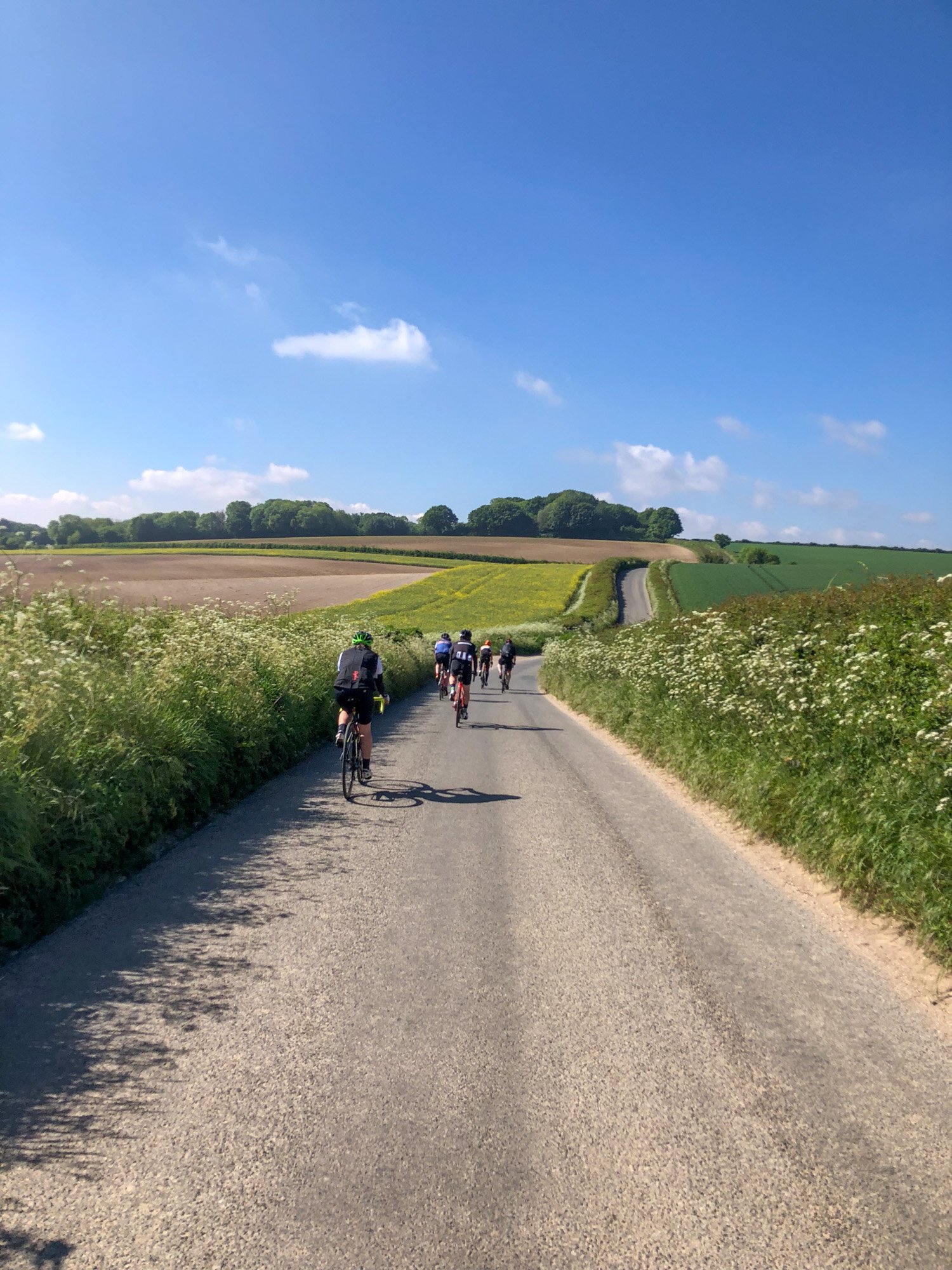 Cyclists disappearing down a long road
