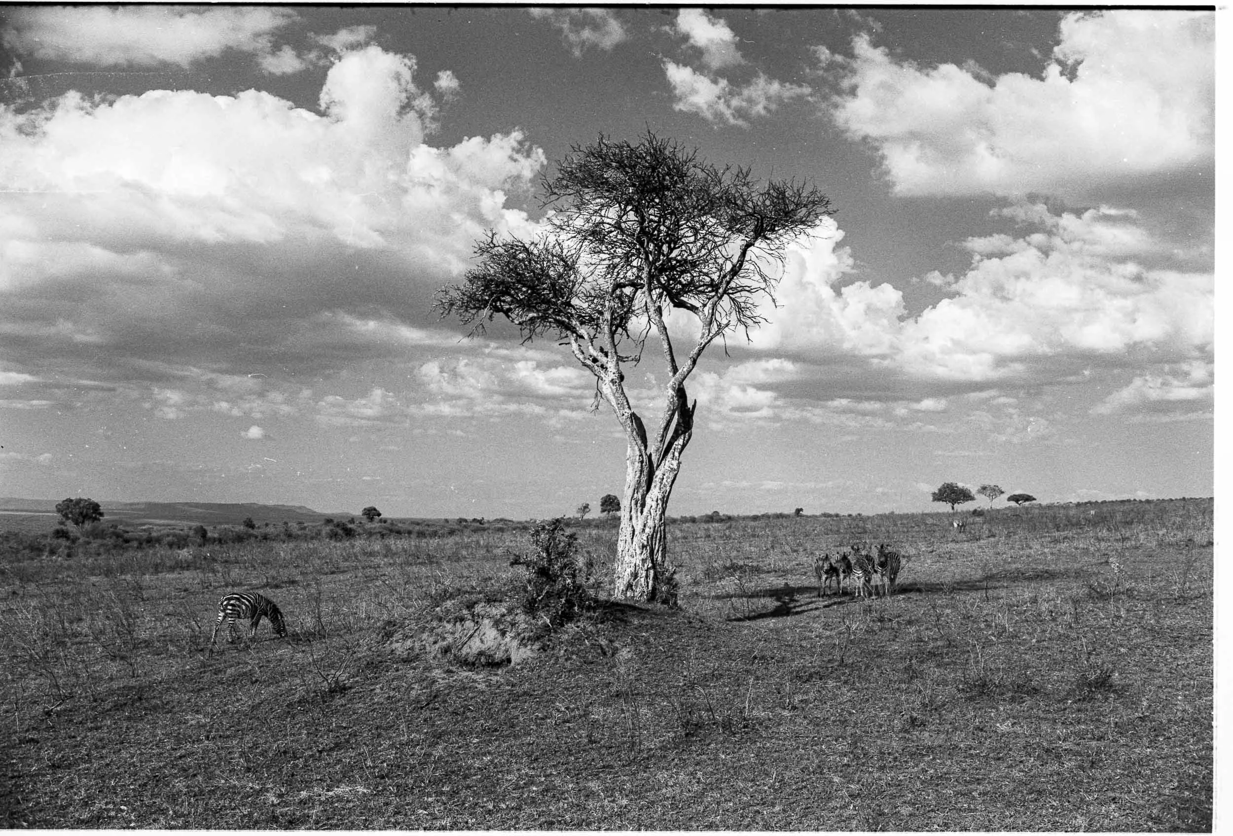 202601_Delta100Pro (8)-1.jpg