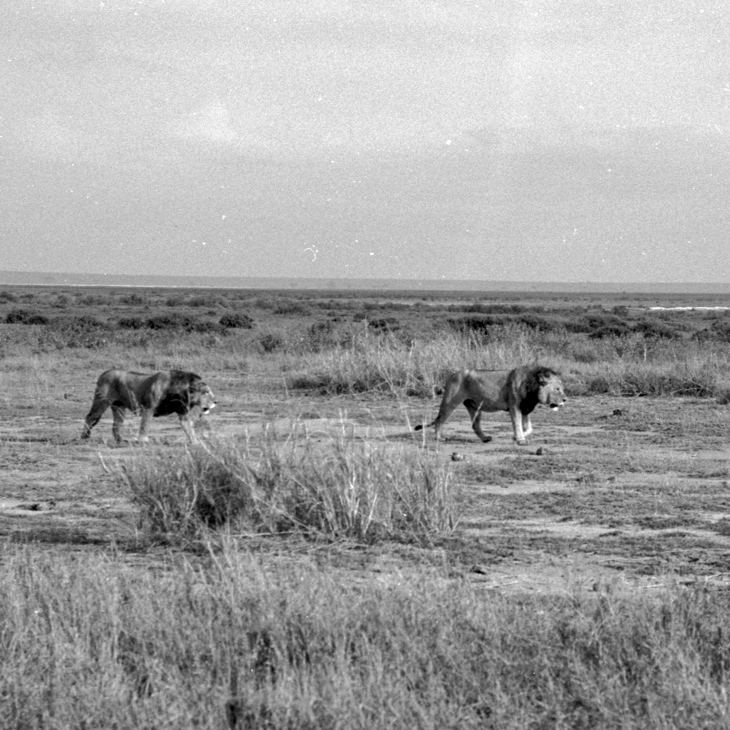 202601_Delta100Pro (29)-1.jpg