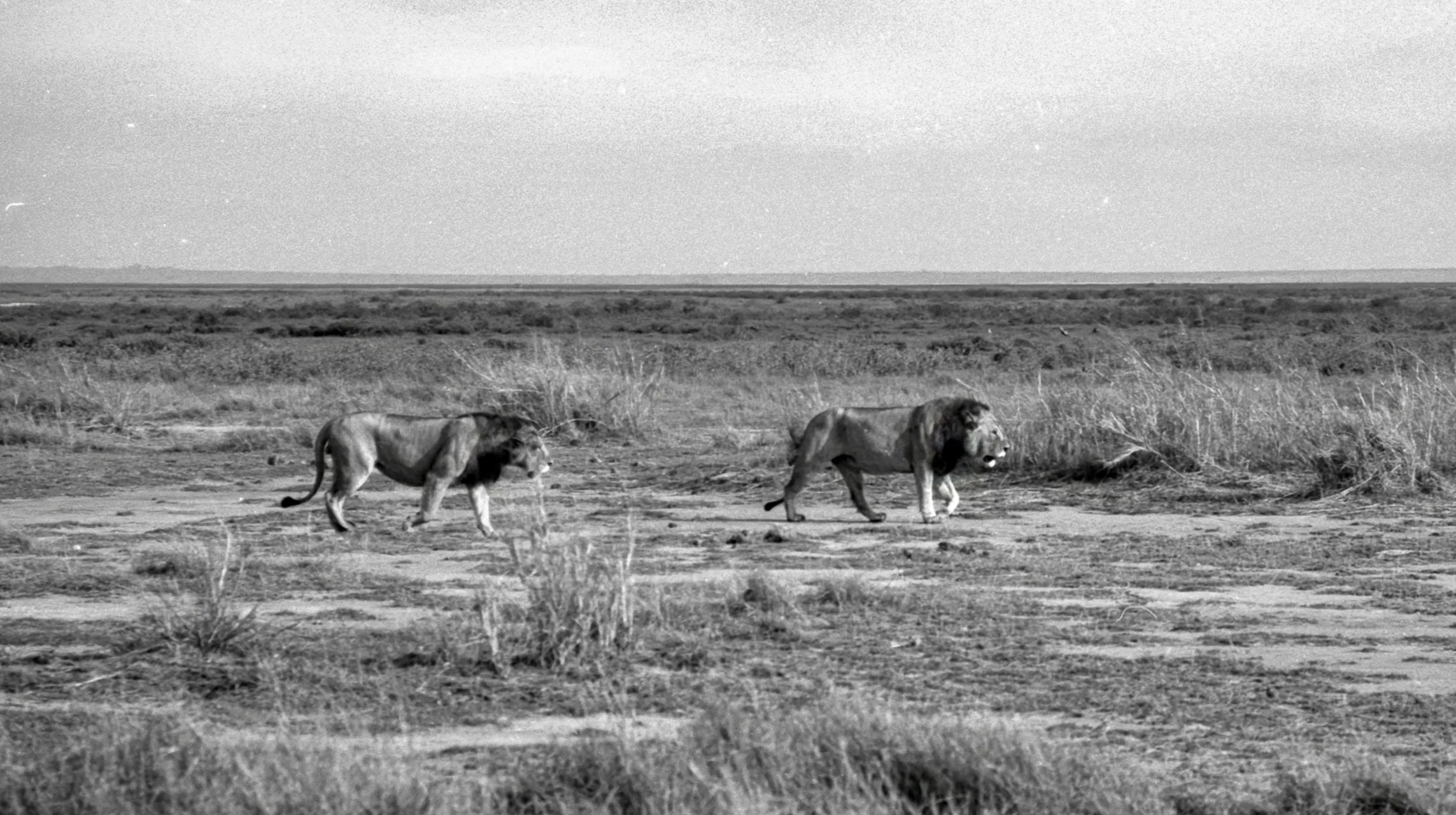 202601_Delta100Pro (30)-Edytuj-1.jpg