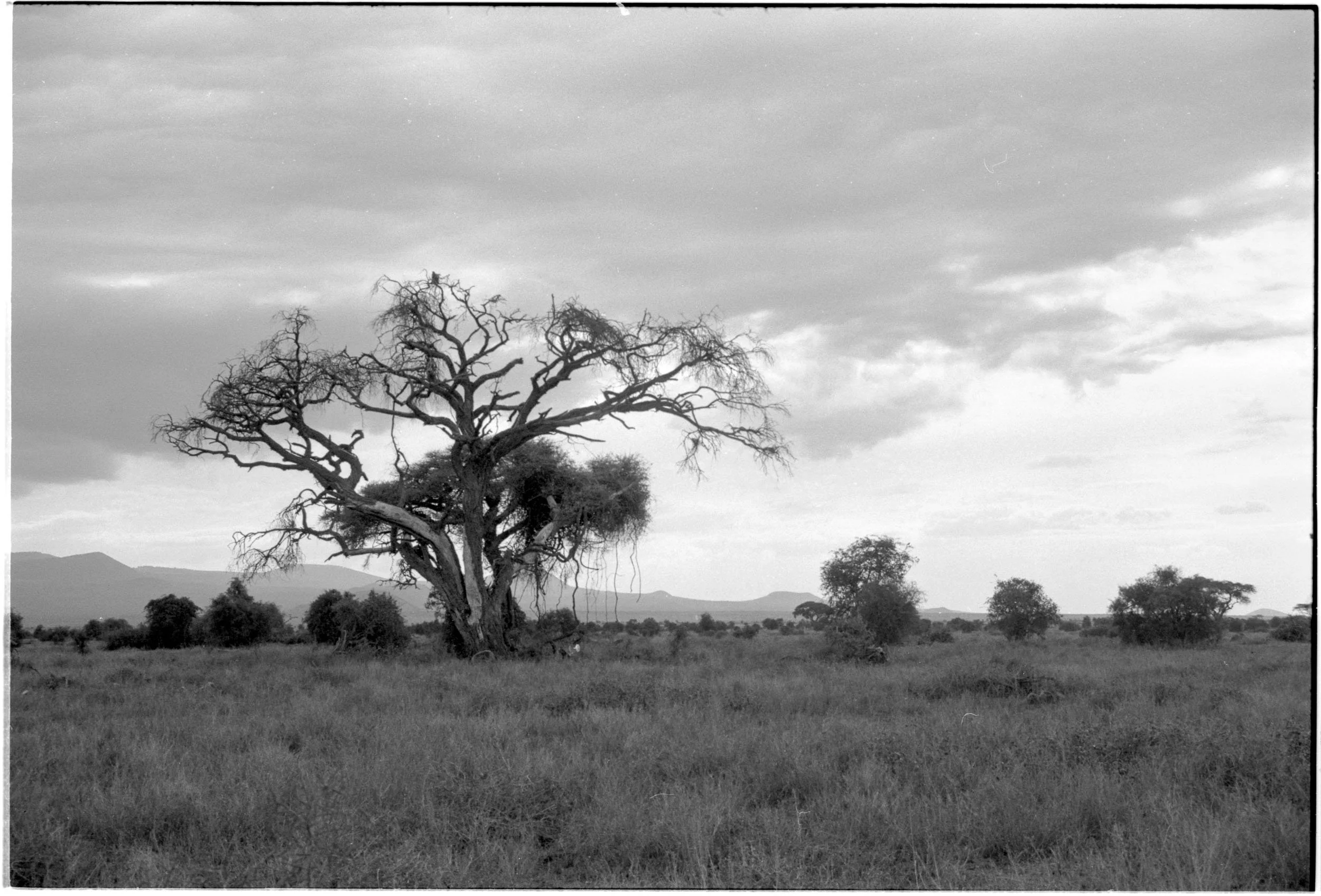 202601_Delta100Pro (31)-1-2.jpg